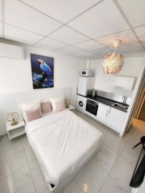 HELLO GUYANE, Marina 1, Studio Prestige 5 étoiles